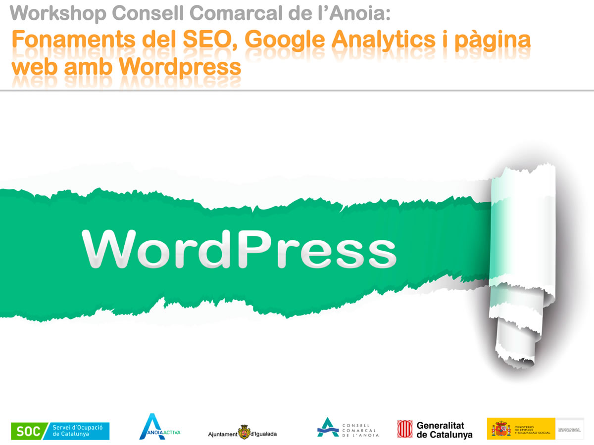 Fonaments Del SEO, Google Analytics I Pàgina Web Amb WordPress