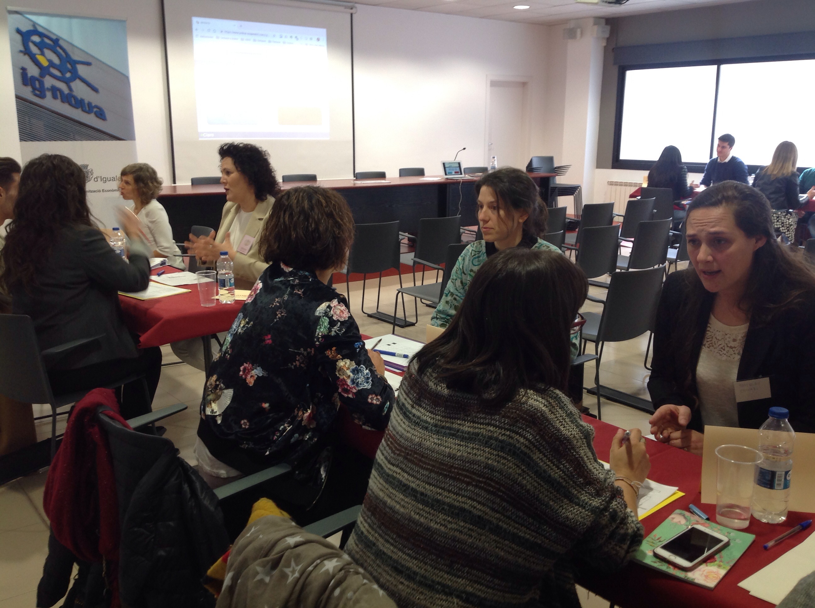 Networking Per A Dones Amb Perfil Professional D’alta Qualificació