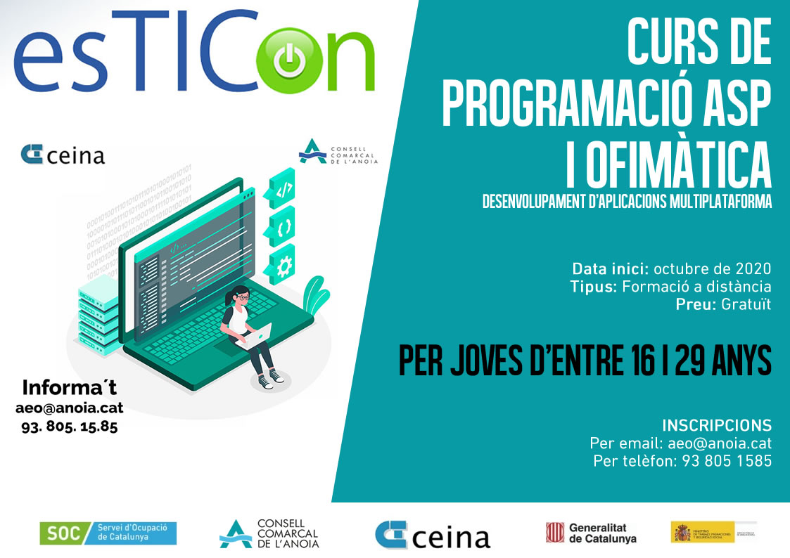 curs de programació ASP i ofimàtica