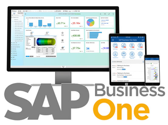 sap-business-one